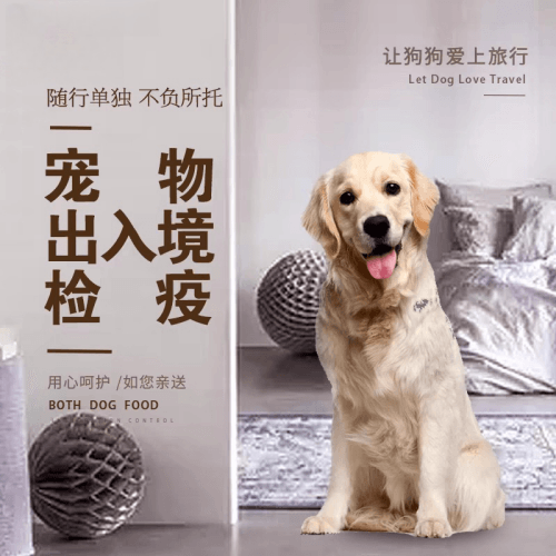 渝中区宠物托运到哥伦比亚猫狗宠物入境规定和