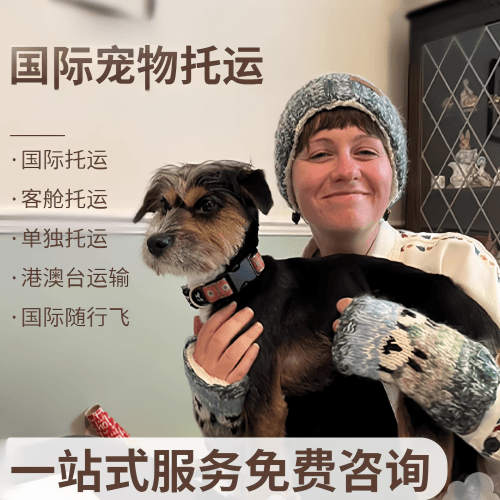渝中区国际宠物托运到阿根廷宠物入境规定和要