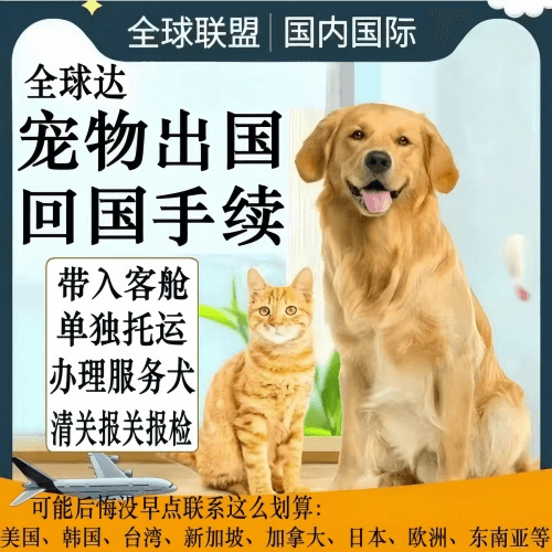 渝中区宠物托运到柬埔寨宠物入境规定和要求