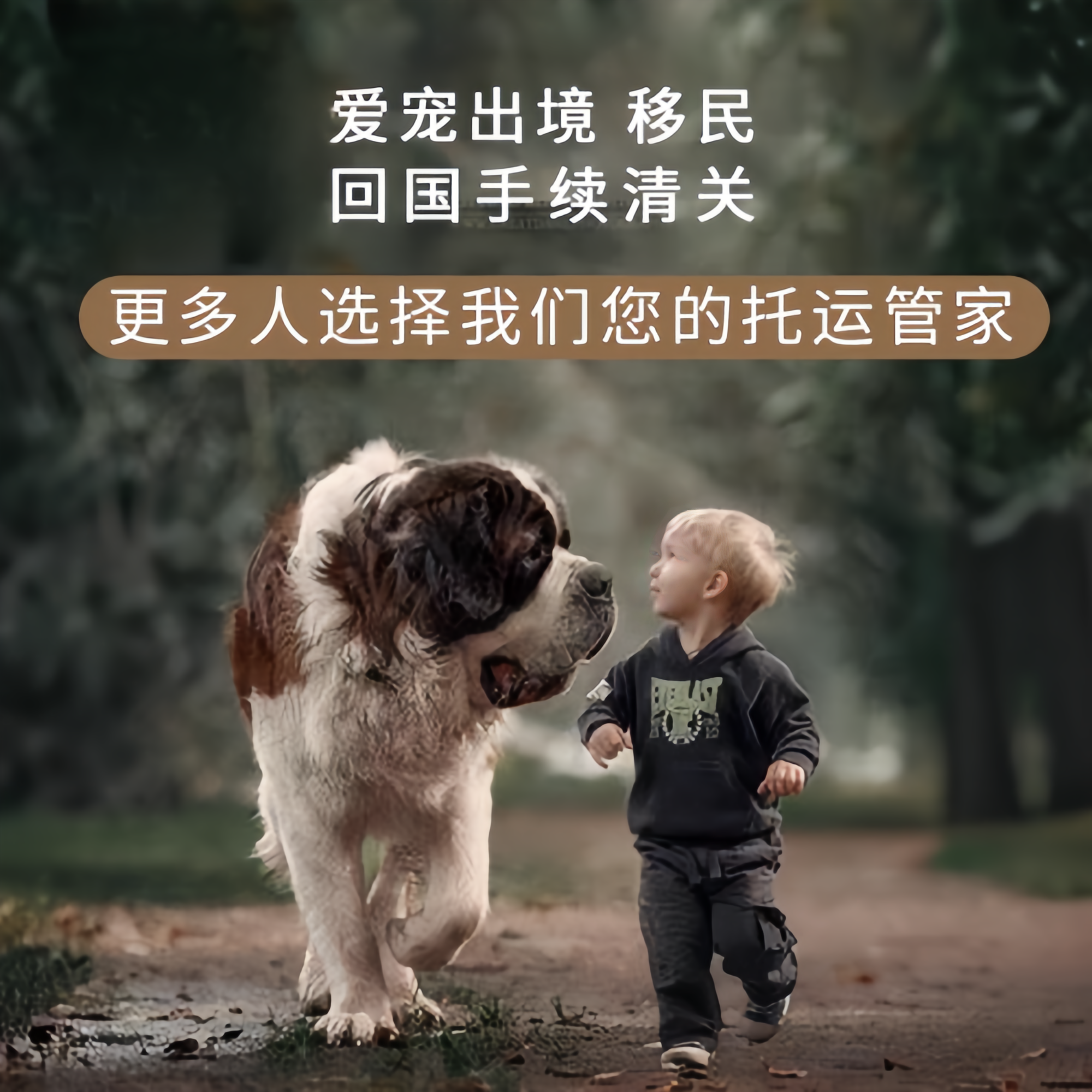 满财渝中区宠物全球达宠物托运在遵守入境目的地政策的条件