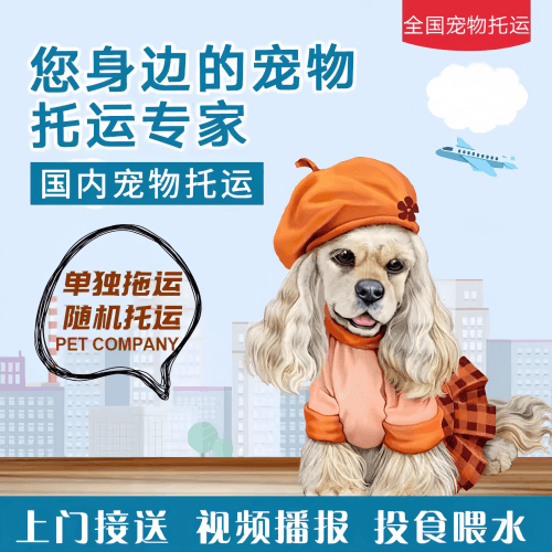 满财渝中区宠物全球达宠物托运作为专业的宠物运输代理机构